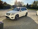 Mercedes-Benz GLK 220 CDI 4MATIC - - Mercedes-Benz GLK 220 in Bielefeld