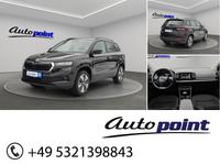 Skoda Karoq 2.0l TDI DSG AHK Standheizung Kamera