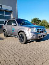 Ford Escape V6 Limited Jurassic Park /Jura... - Ford Escape Gebrauchtwagen