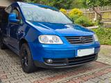 Volkswagen Caddy Maxi - Volkswagen Caddy Maxi aus 2009