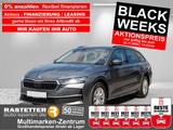 Skoda Octavia Combi TSI Selection Facelift+Lodge+Akust - gebrauchte Skoda Octavia mit Facelift