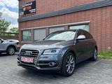 Audi SQ5 3.0 TDI quattro *PANO*XENON*ALC*NAVI*AHK* - Audi SQ5 in Mainz