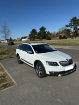 Skoda Octavia 1.8 TSI DSG 4x4 Scout Combi Scout - Skoda Octavia Scout mit Benzin-Antrieb
