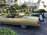 Cadillac Eldorado - Cadillac Eldorado Gebrauchtwagen