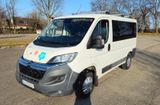 Citroën Jumper L1H1 Camper MiniBus Transporter - Citroën: Transporter