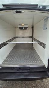 Peugeot Expert Kühltransporter - Kühltransporter