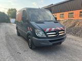 Mercedes-Benz Mercedes Benz Sprinter 313 CDI 3 to Anhäng... - Mercedes-Benz Sprinter aus 2010: 313