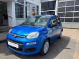 Fiat Pandina Icon - Fiat Panda in Lübeck