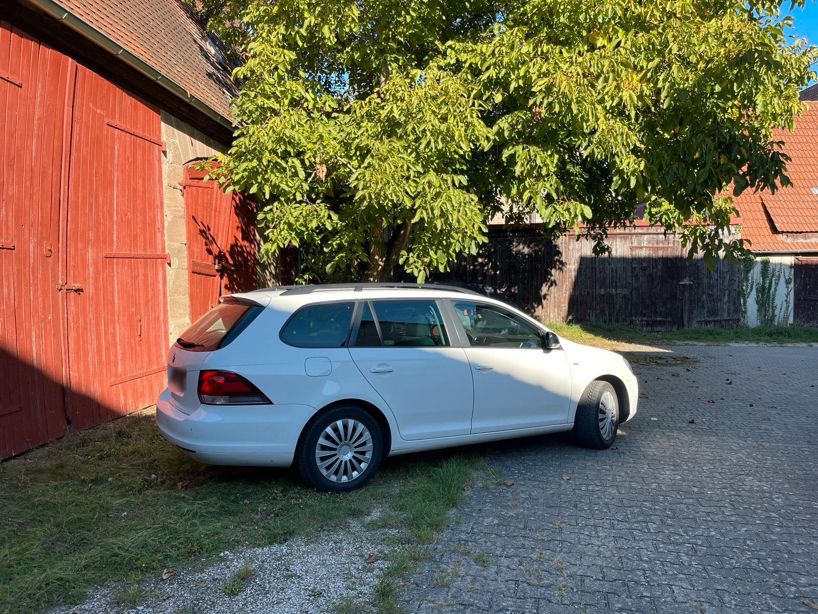 Volkswagen Golf 2010 — rear view