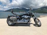 Harley-Davidson Rocker C FXCWC THORCAT Auspuffanlage - Offers matching your search criteria