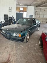 BMW Bmw e34 525i m50 rostfrei - BMW 525 aus 1992: 525i