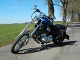 Harley-Davidson XL 883 C - Offers matching your search criteria