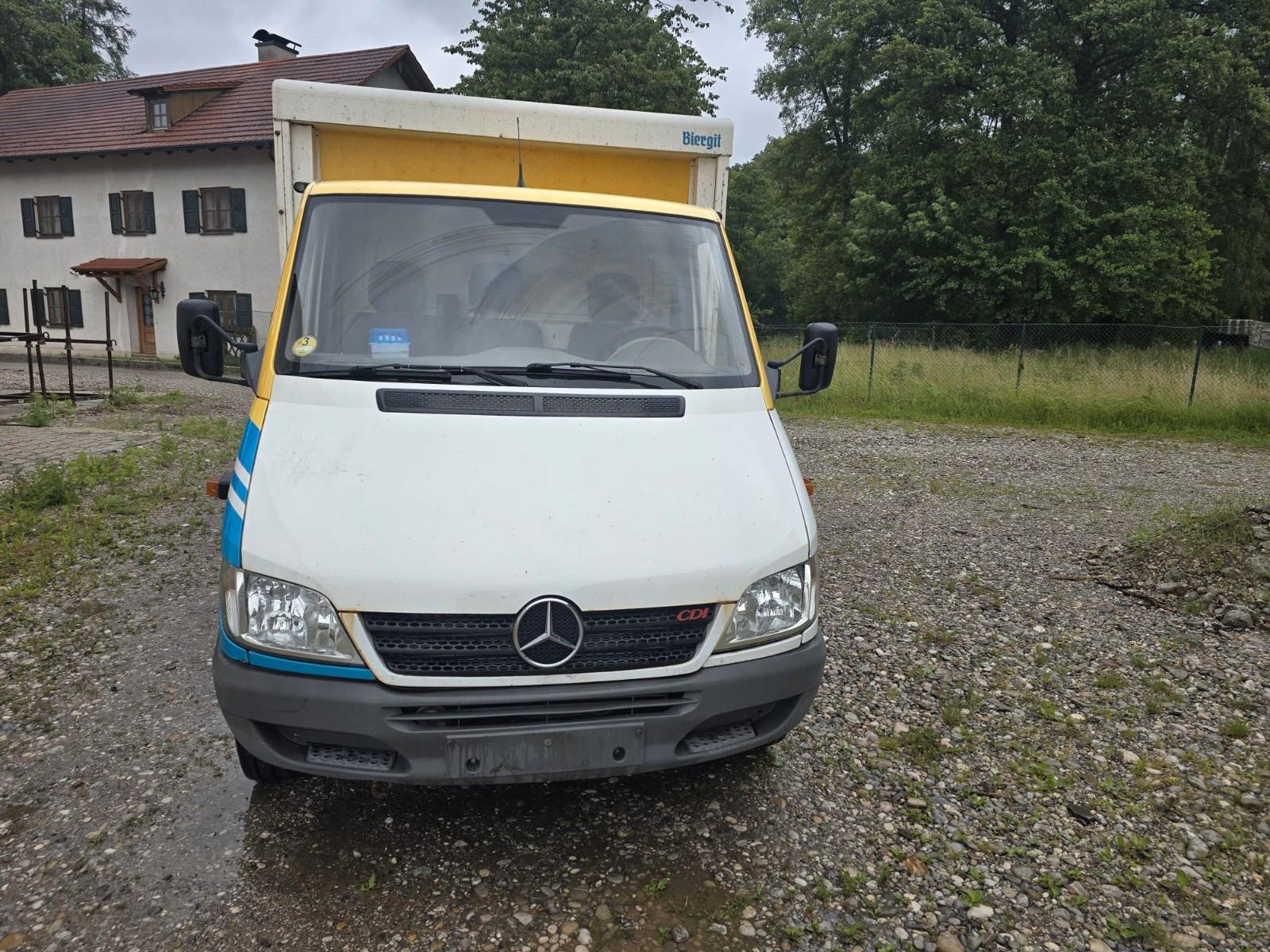 Mercedes-Benz Sprinter Pritsche 313 CDI