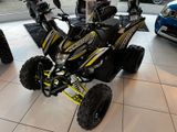 Aeon Cobra 424 SX EFI Enduro Euro5 - AEON COBRA