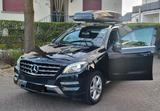 Mercedes-Benz Mercedes ML W166 250 CDI bluetec 4matic - Mercedes-Benz 250 in Frankfurt (Main)