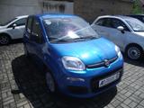 Fiat Panda Base - Fiat Panda in Halle