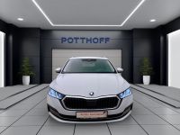 Skoda Octavia - Vorschau Bild 8