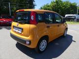 Fiat Panda EASY 1.2 69PS KLIMA RADIO SERVO ALLWETTER - gebrauchte Fiat Panda aus dem Jahr 2019