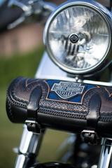 Harley-Davidson Fat Boy Thunderbike Hamminkeln/Melle custom  - HARLEY-DAVIDSON THUN