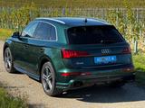 Audi SQ5 3.0 TFSI tiptronic quattro - - : Grün, Sitzbelüftung