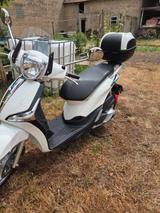 Piaggio Liberty 125 ccm Topcase Windschild - Angebote