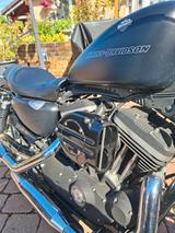 Harley-Davidson 883  Sportser Iron - HARLEY-DAVIDSON 2009 883