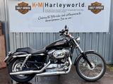 Harley-Davidson XL 1200 Custom Sportster wie sie sein soll... - HARLEY-DAVIDSON 2005 SPORTSTER 1200
