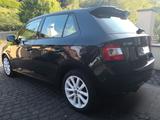 Skoda Fabia 1.4l TDI 66kW Monte Carlo Monte Carlo - Skoda Fabia mit Diesel-Antrieb: 1.6