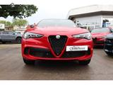 Alfa Romeo Stelvio Quadrifoglio SPARCO  AKRAPOVIC Panorama  - Alfa Romeo: Schiebedach