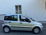Fiat New Panda 1.2 8V Dynamic - Fiat New Panda Gebrauchtwagen
