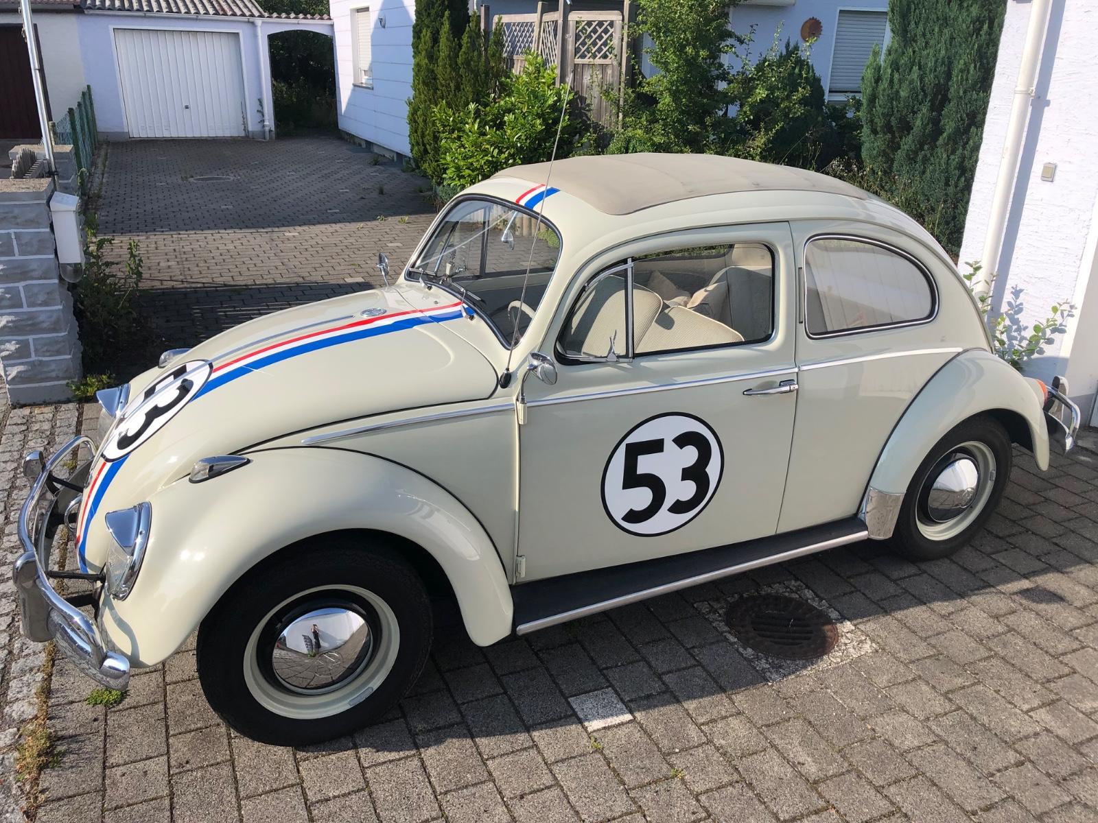 ad0fcfe1-4f09-4f0d-8f2e-8439c7b6c60b