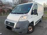 Fiat Ducato 250 L - Fiat Ducato: 250l