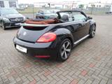 Volkswagen Beetle 2.0 TDI DSG BMT Karmann Cabriolet - Volkswagen Beetle: TDI