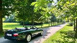 Jaguar XK8 Cabriolet - - Jaguar XK8 Gebrauchtwagen