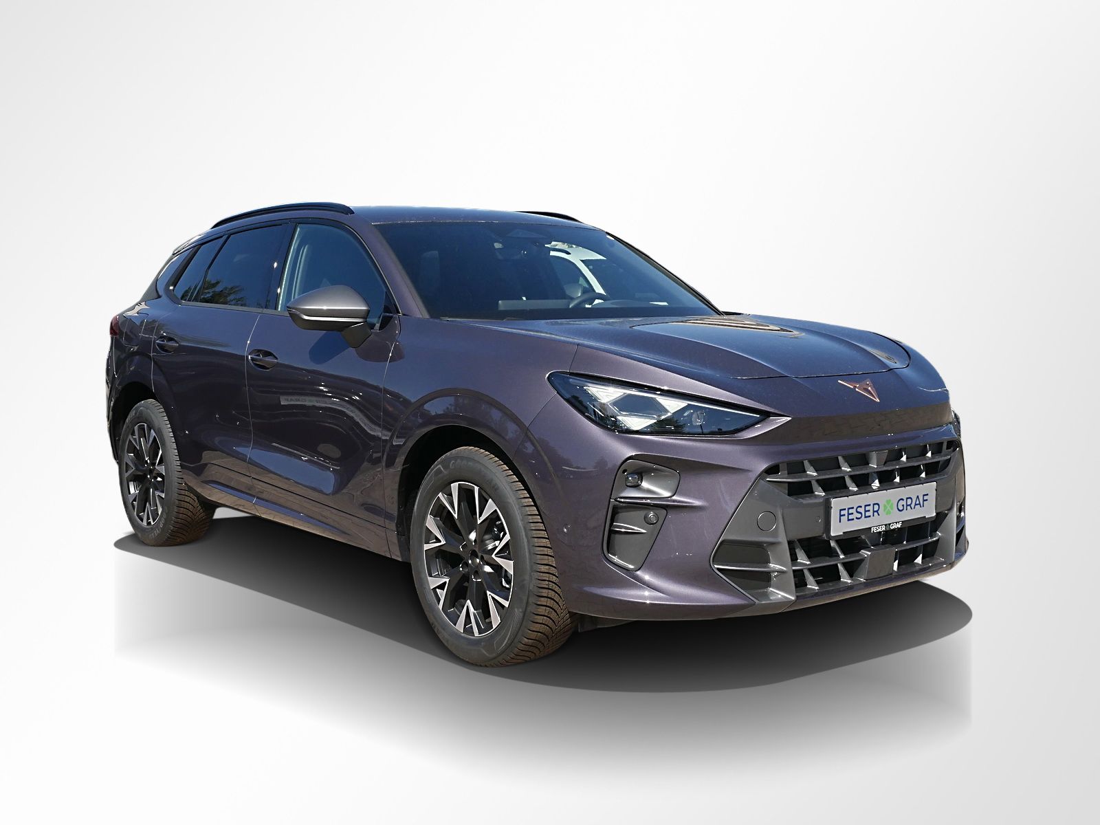 Cupra Terramar - Bild 5