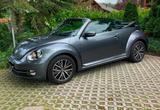 Volkswagen Beetle 1.2 TSI DSG BMT ALLSTAR Cabriolet ALLSTAR - Volkswagen Beetle ALLSTAR mit Benzin-Antrieb
