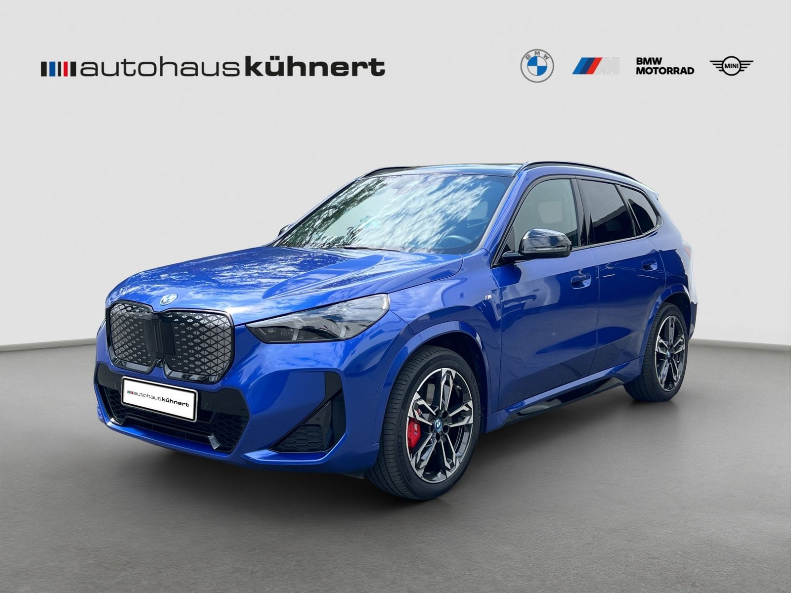 BMW iX1 xDrive30 M-Sport PRO ACC PanoSD SpurAss foto 2