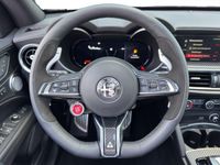 Alfa Romeo Stelvio - Vorschau Bild 14