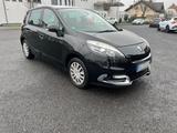 Renault Scenic 1.5 DCI - Renault Scenic in Mainz
