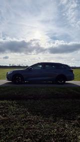 Cupra Leon 1.4 e-HYBRID ST VZ/Service Neu/2. Hand - Cupra Leon von privat