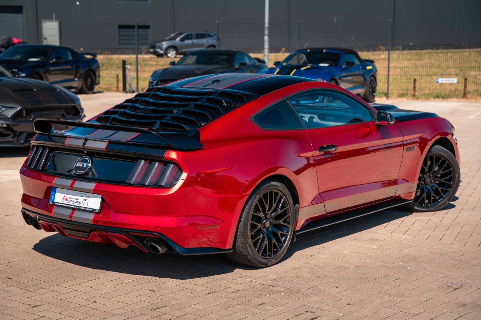 Ford Mustang GT 5,0 Gt 350 SHELBY PREMIUM VOLL