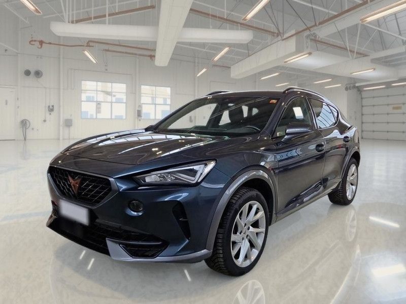 Cupra CUPRA FORMENTOR 2.0 TDI 4DRIVE DSG SUV