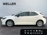 Toyota Corolla 1.8 Hybrid Comfort*LED*Kamera*ACC*CarPla - Toyota Neuwagen in Bielefeld