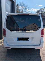Mercedes-Benz V 250 D 4M AVG. AMG Standhzg. Brabus 235PS MwSt  - Mercedes-Benz: Kleinbus, Brabus