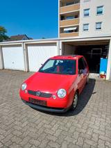 Volkswagen Lupo 1.0 BASIS Basis - Volkswagen Lupo: Rot