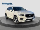 Volvo XC60 B4 Momentum Pro/Navi/LED/AHK/Standhz/Kamera - Volvo Gebrauchtwagen in Celle