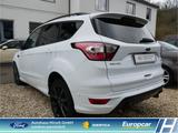Ford Kuga ST-Line 2.0EcoBoost Navi Bi-Xenon Apple Car - Ford Kuga: ST