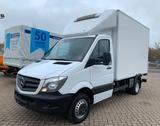 Mercedes-Benz Sprinter 416/516 CDI Kühlkoffer/ LBW/ TK V300max - Mercedes-Benz 300cd