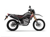 Honda CRF300L - Rot  - im Showroom! - HONDA SH 300