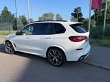 BMW X5 xDrive40i - - BMW X5 in Stuttgart